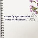 Ceea ce lipseste determina ceea ce este important