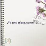 Nu caut sa am succes
